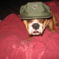 Baddog0302