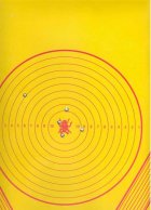 Fly_targetB.jpg