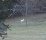 DSC00003.JPG