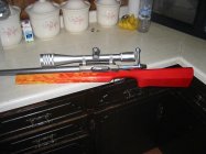 rifle_1.JPG