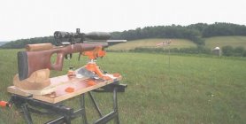 243closeuplongshot07.JPG