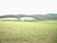 field3456connor07.JPG