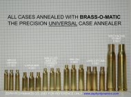 AnnealedCasesTextTN.jpg