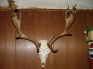 DSCF0720.JPG
