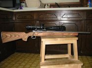 Xp-100_rifle_2.JPG