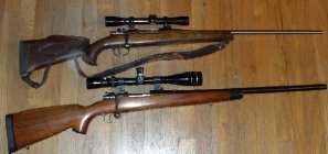 Mausers243asTestedtiny.jpg