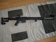 DPMS.jpg