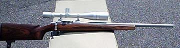 wholegun.jpg