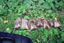 009_9.jpg