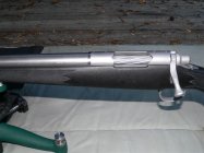 Predator02.JPG