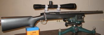 rifle1.jpg