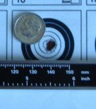 DSC00654.JPG