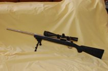 Pronhorn_rifle_left_side_small.jpg