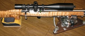 - 300WSM-sm13.jpg