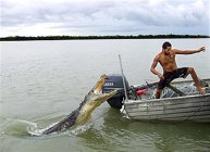 croc (Large).jpg