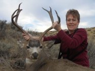 deer pics 005.jpg
