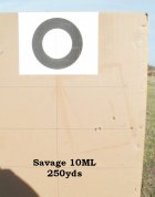 savage 250.jpg