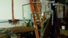 20180315_214623.jpg