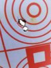 20180318_162246-1512x2016.jpg