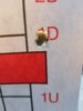 20171112_162050-1512x2016.jpg
