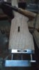 fr_1299_size1024.jpg