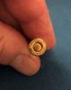 17 Hornet new ammo.jpg