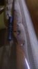 IMAG1067.jpg
