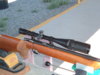 RF BR 005.JPG