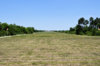 DSC_0835.JPG