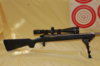 Pronghorn rifle with 300yd target.JPG