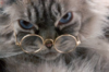 upload_2018-5-7_9-19-14.png