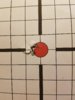 20180509_122122.jpg