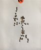 stickman.jpg