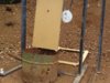 IMG-20180402-WA0013.jpg