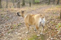 DSC00025.JPG