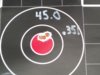 H4831 45.0gr .020 jump.JPG
