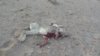Rabbit Carnage.jpg