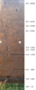 RL16 Test  7-2-16.png