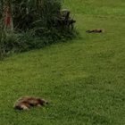 20180620_144112.jpg