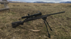 18ECF2D3-957D-4192-9417-BA55E03CA97B.png