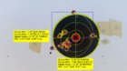 310yds-22-250.jpg