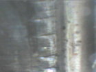 PICT0017.JPG PICT0017.JPG