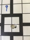 38405182_923807777803975_1138734308505157632_n.jpg