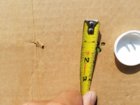 20180722_103550.jpg