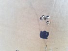 20180808_065219.jpg