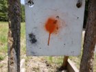 20180820_132250.jpg