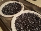 20180827_074238.jpg