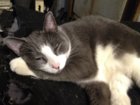 Steve is stoned.JPG