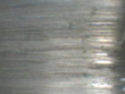PICT0008.JPG