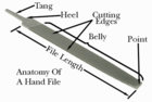 File_Anatomy_101.jpg